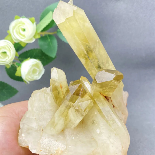 Yellow Quartz Cluster Crystal-ToShay.org