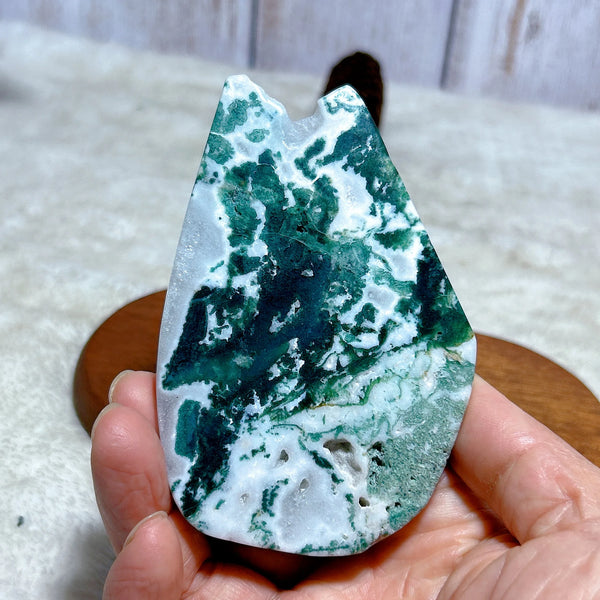 Green Moss Agate Slice-ToShay.org