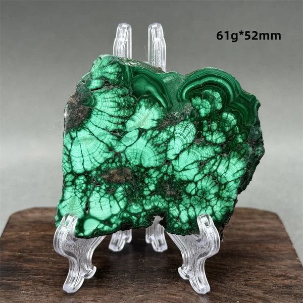 Green Malachite Raw Slice-ToShay.org