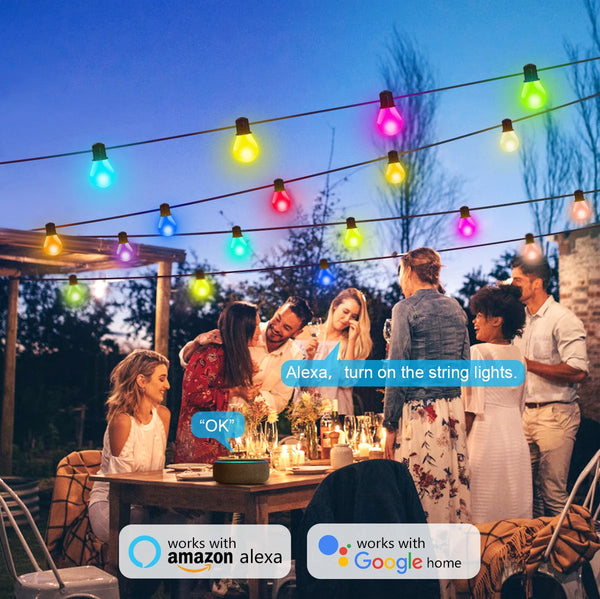 Bulb String Lights-ToShay.org