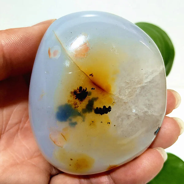 Yellow Blue Water Plant Agate-ToShay.org