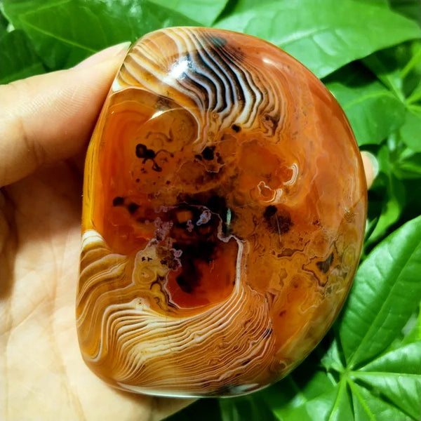 Red Sardonyx Agate-ToShay.org