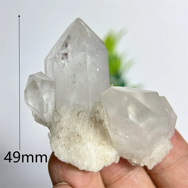 Clear Pineapple Quartz Cluster-ToShay.org