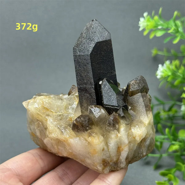 Black Quartz Crystal-ToShay.org