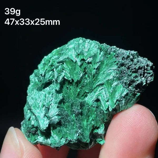 Green Malachite Crystal-ToShay.org
