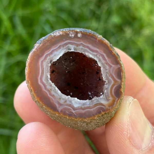 Yellow Agate Geode Egg-ToShay.org