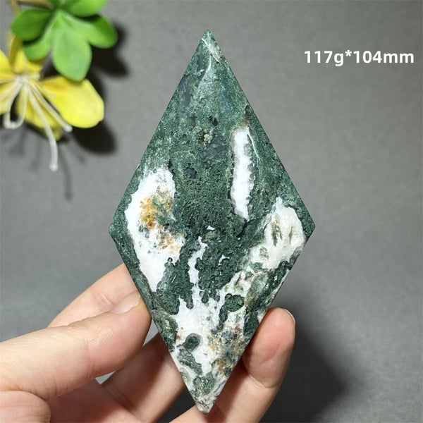 Green Aquatic Plant Agate-ToShay.org