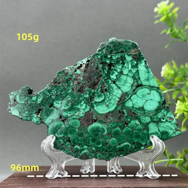 Green Malachite Slice-ToShay.org
