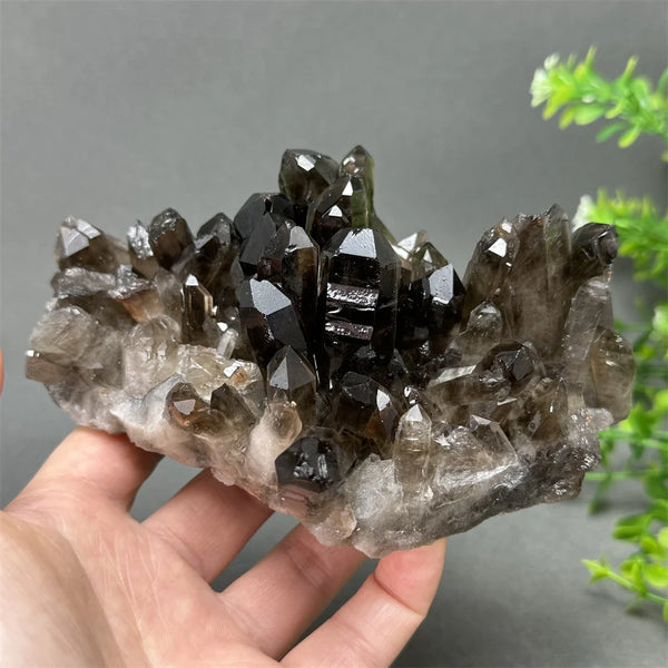 Black Quartz Crystal-ToShay.org
