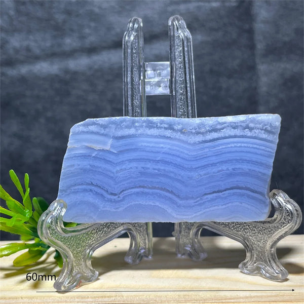 Blue Lace Agate Slice-ToShay.org