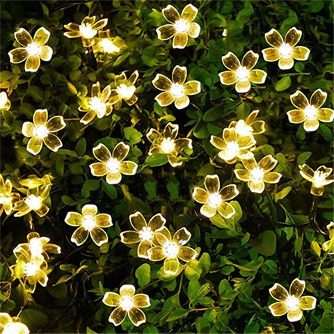 Peach Flower Lights-ToShay.org