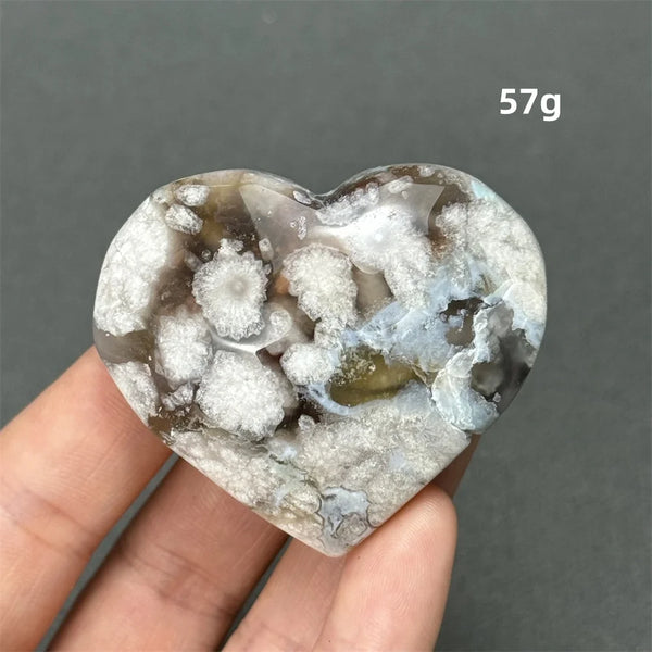 Black Cherry Blossom Agate-ToShay.org