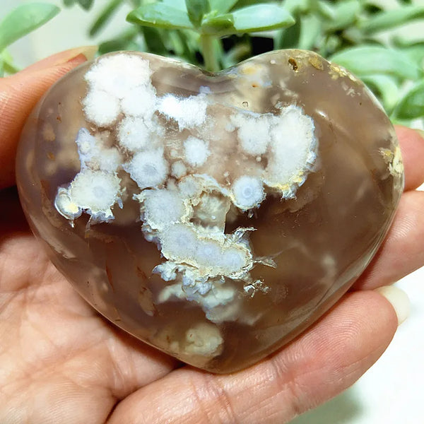 Pink Cherry Blossom Agate-ToShay.org