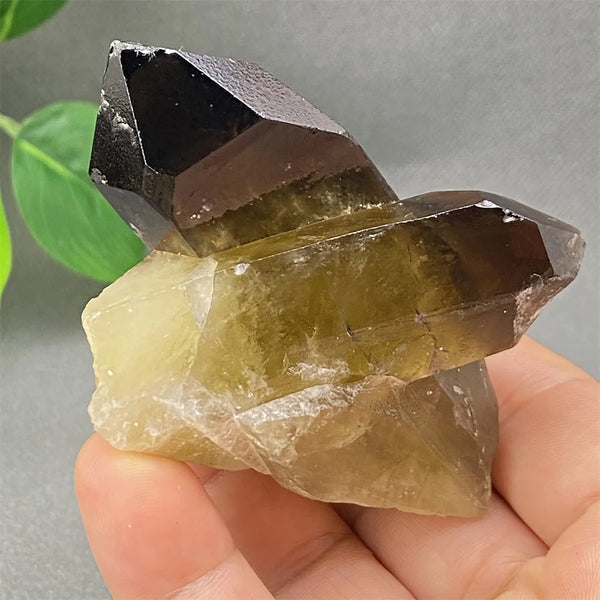 Yellow Black Smoky Quartz-ToShay.org