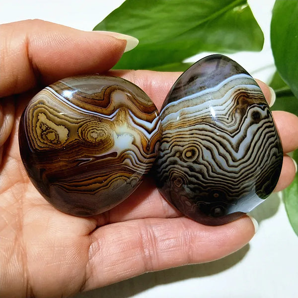 Red Lace Sardonyx Palm Stones-ToShay.org
