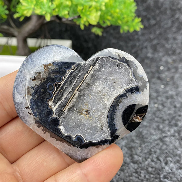 Black Agate Geode-ToShay.org