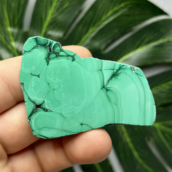 Green Eyes Malachite-ToShay.org