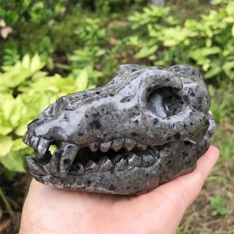 Grey Yooperlite Dinosaur Skull-ToShay.org