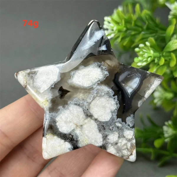 Black Cherry Blossom Agate-ToShay.org
