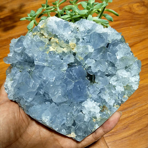 Blue Celestine Geode Crystal-ToShay.org