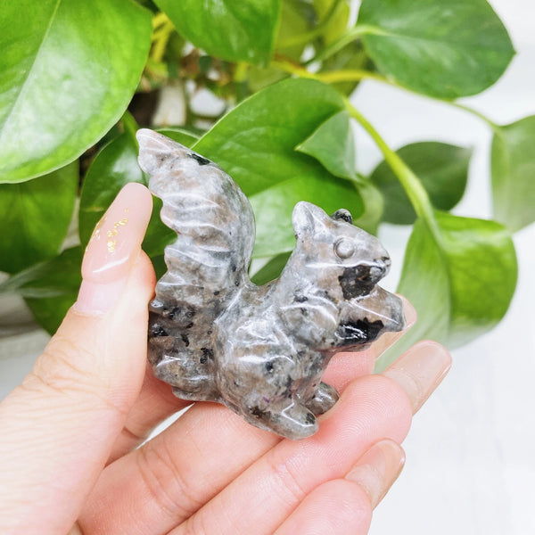 Mixed Crystal Squirrels-ToShay.org