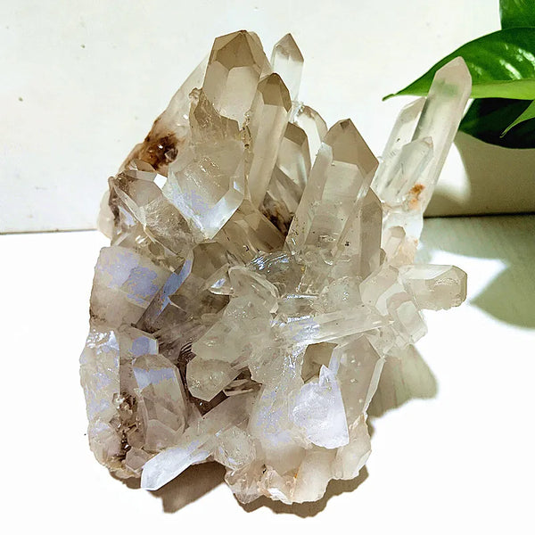 White Quartz Crystal-ToShay.org