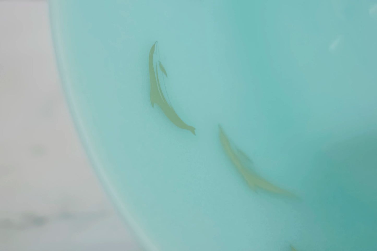 Frosted Crystal Singing Bowl-ToShay.org