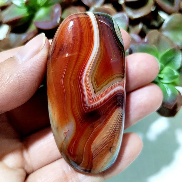 Red Flower Agate Palm Stone-ToShay.org
