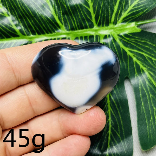 Black White Orca Agate-ToShay.org