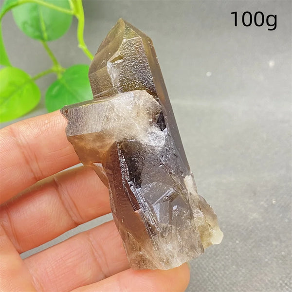 Yellow Black Smoky Quartz-ToShay.org