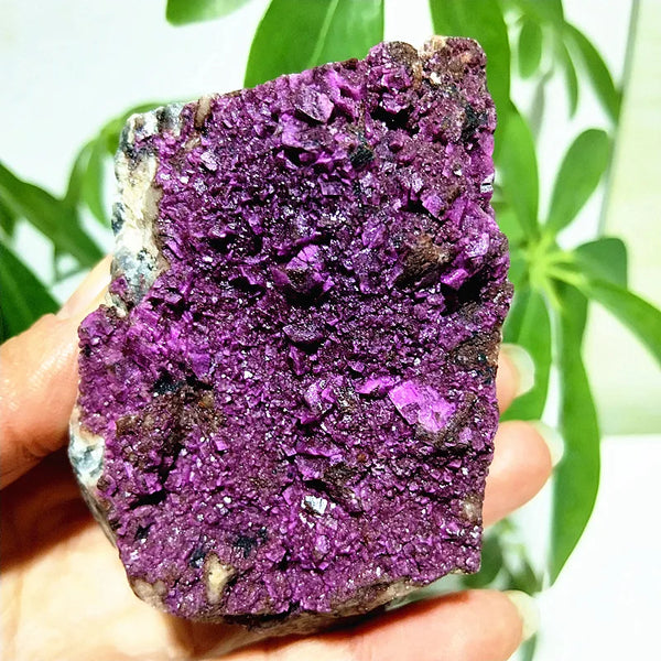 Pink Cobaltocalcite Raw Rock-ToShay.org
