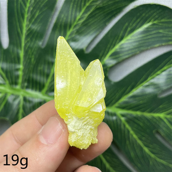 Yellow Sulfur Clusters-ToShay.org