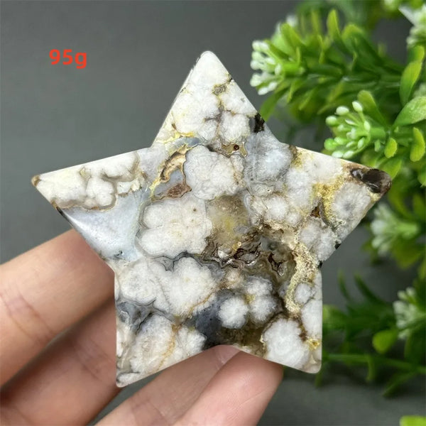 Black Cherry Blossom Agate-ToShay.org