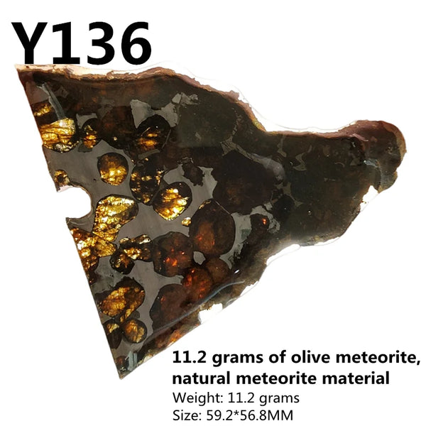 Olive Meteorite Slice-ToShay.org