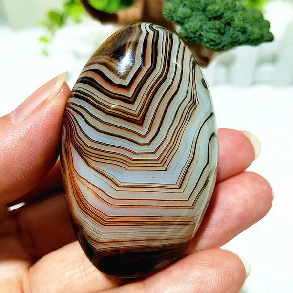 Red Lace Sardonyx Agate-ToShay.org