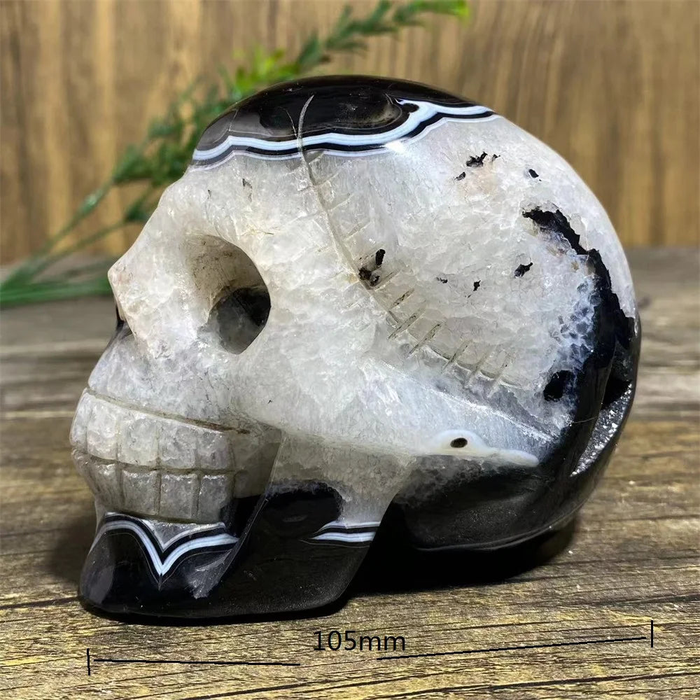 Black Agate Skull-ToShay.org