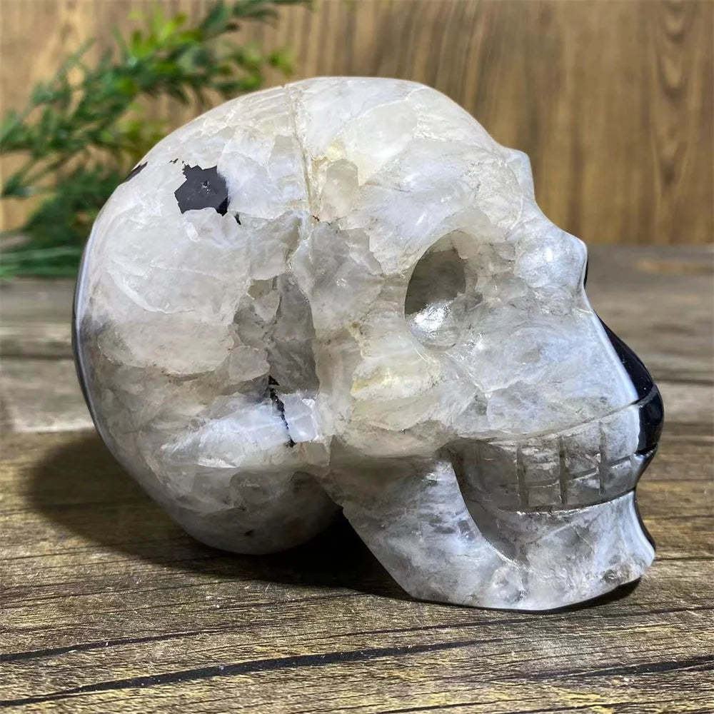 Black Agate Skull-ToShay.org