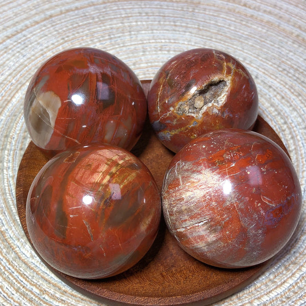 Brown Petrified Wood Ball-ToShay.org