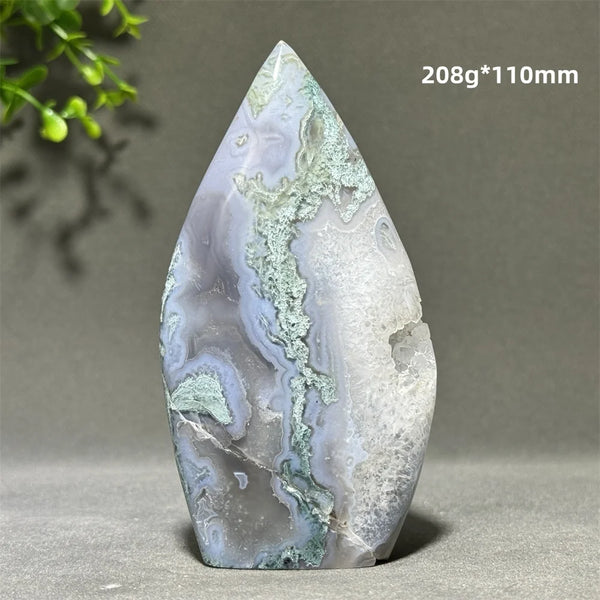Green Aquatic Plant Agate-ToShay.org