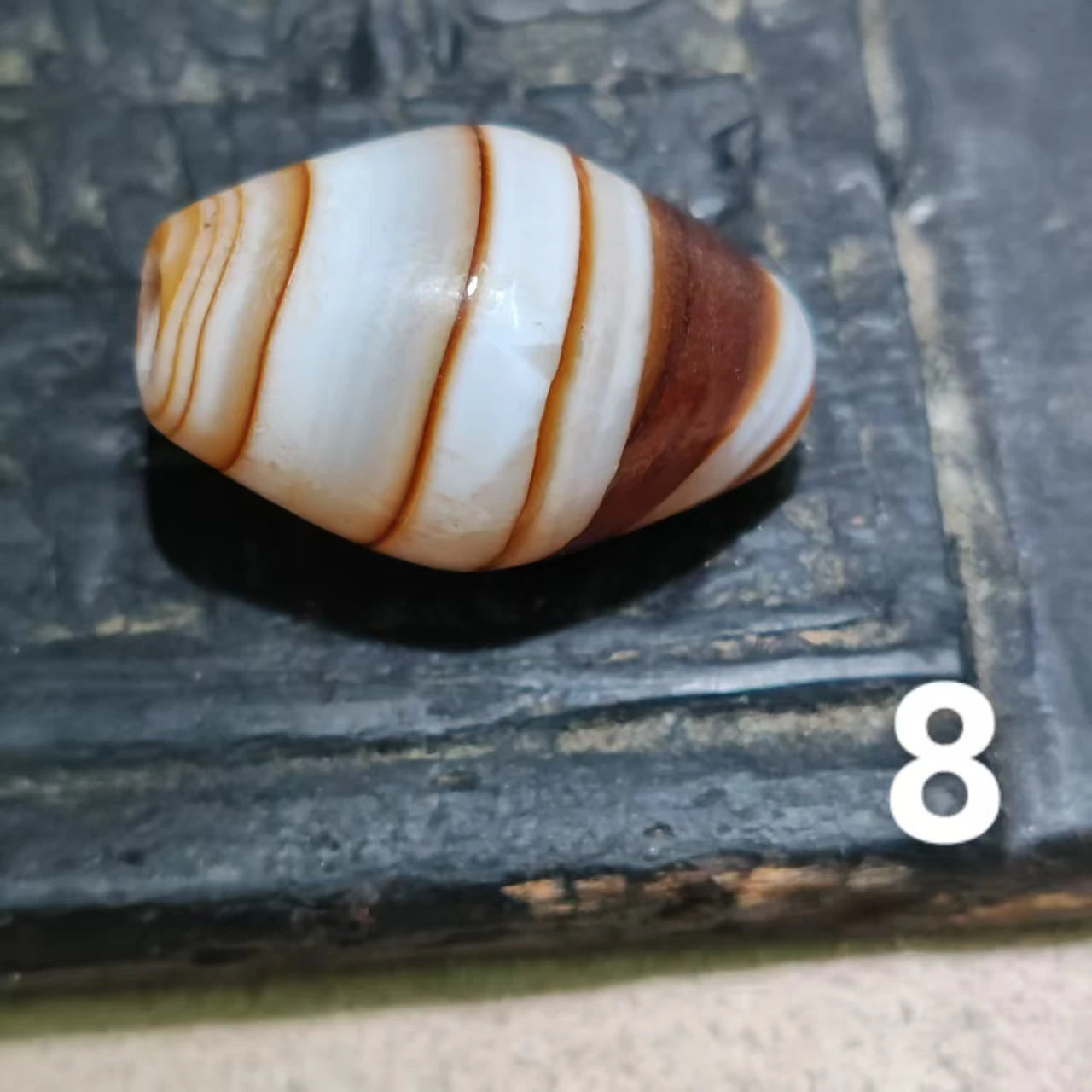 Tibetan Agate Dzi Bead-ToShay.org