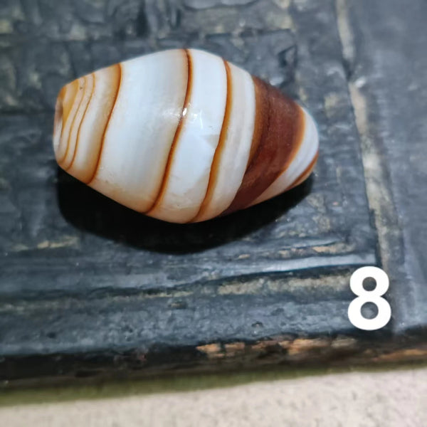 Tibetan Agate Dzi Bead-ToShay.org