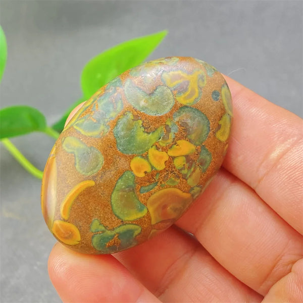Green Rainforest Palm Stone-ToShay.org