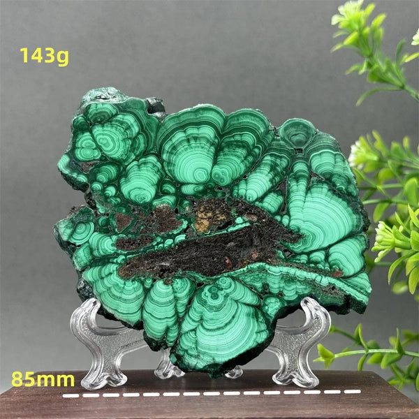 Green Malachite Slice-ToShay.org