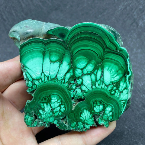 Green Malachite Slice-ToShay.org