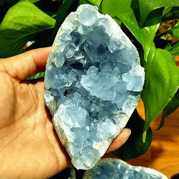 Blue Celestine Geode Crystal-ToShay.org