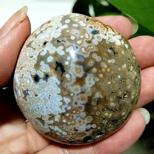 Ocean Jasper Palm Stone-ToShay.org