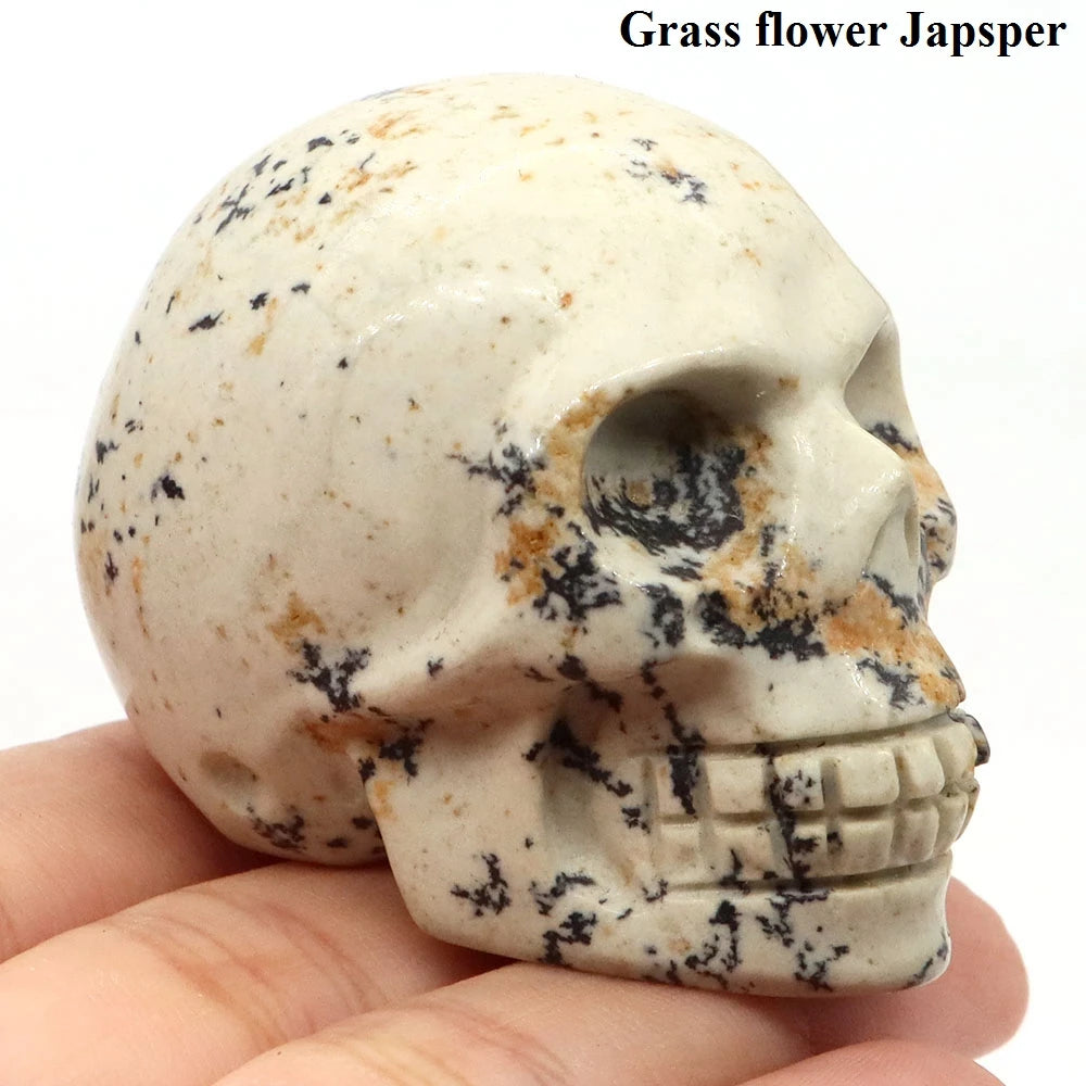 Mixed Crystal Skull-ToShay.org