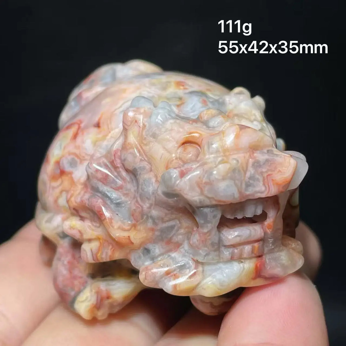 Mixed Crystal Dragon Turtles-ToShay.org