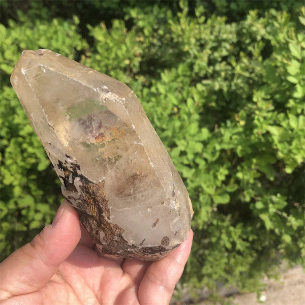 Clear Smoky Lemurian Seed-ToShay.org