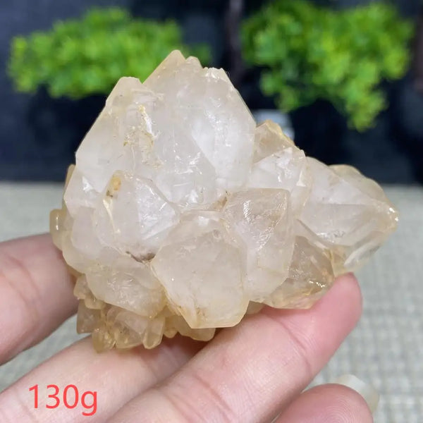 White Quartz Crystal Cluster-ToShay.org